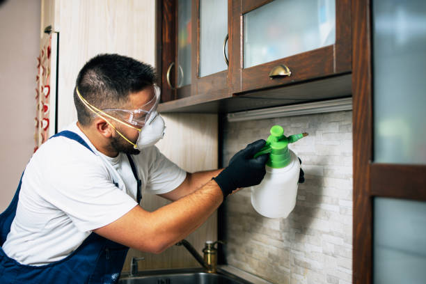 Best Flea Control Services  in La Porte City, IA