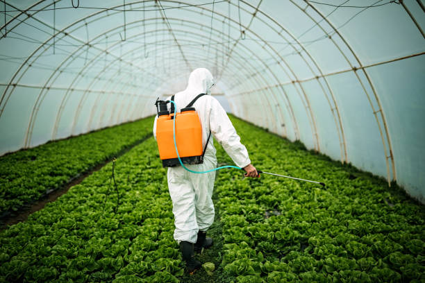 Best Best Pest Control Companies  in La Porte City, IA