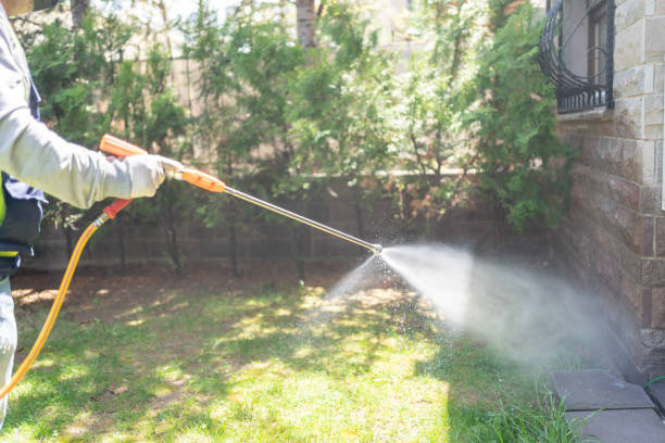 Best Termite Control Services  in La Porte City, IA