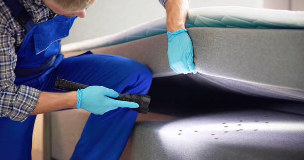 Best Pest Removal Services  in La Porte City, IA
