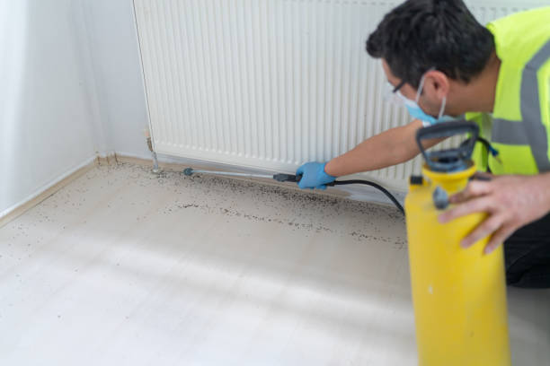 Best Affordable Pest Control Services  in La Porte City, IA